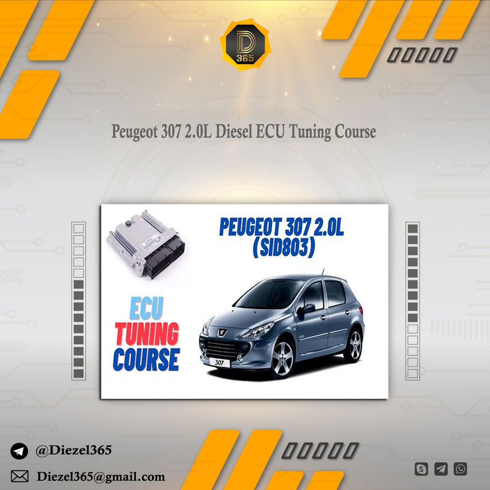 Peugeot 307 2.0L Diesel ECU Tuning Course