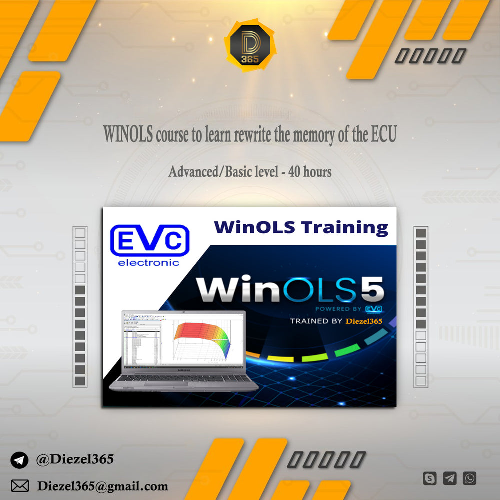 WINOLS course to learn rewrite the memory of the ECU (advanced basic level), 40 hours