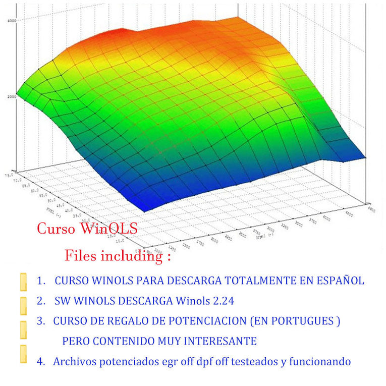 WINOLS course to learn rewrite the memory of the ECU (advanced basic level), 40 hours