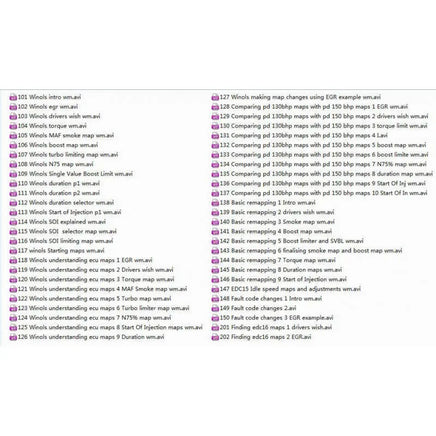 WINOLS VIDEO + PDF TUTORIAL Diezel365